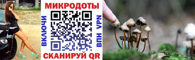 Галлюциногенные грибы мухоморы  где можно купить   Ростов-на-Дону 
